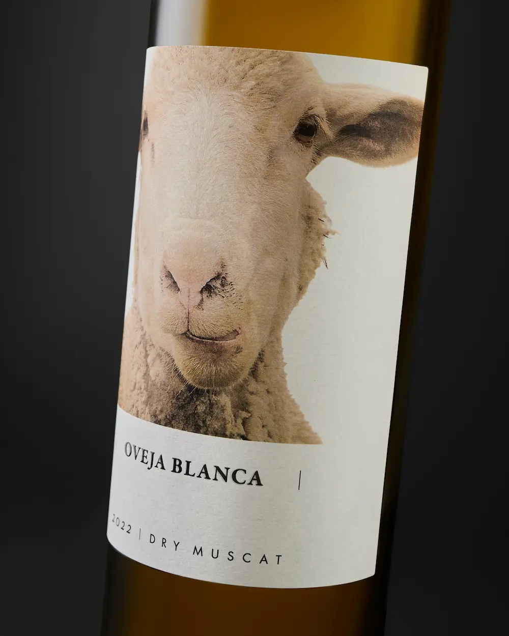 Oveja Blanca